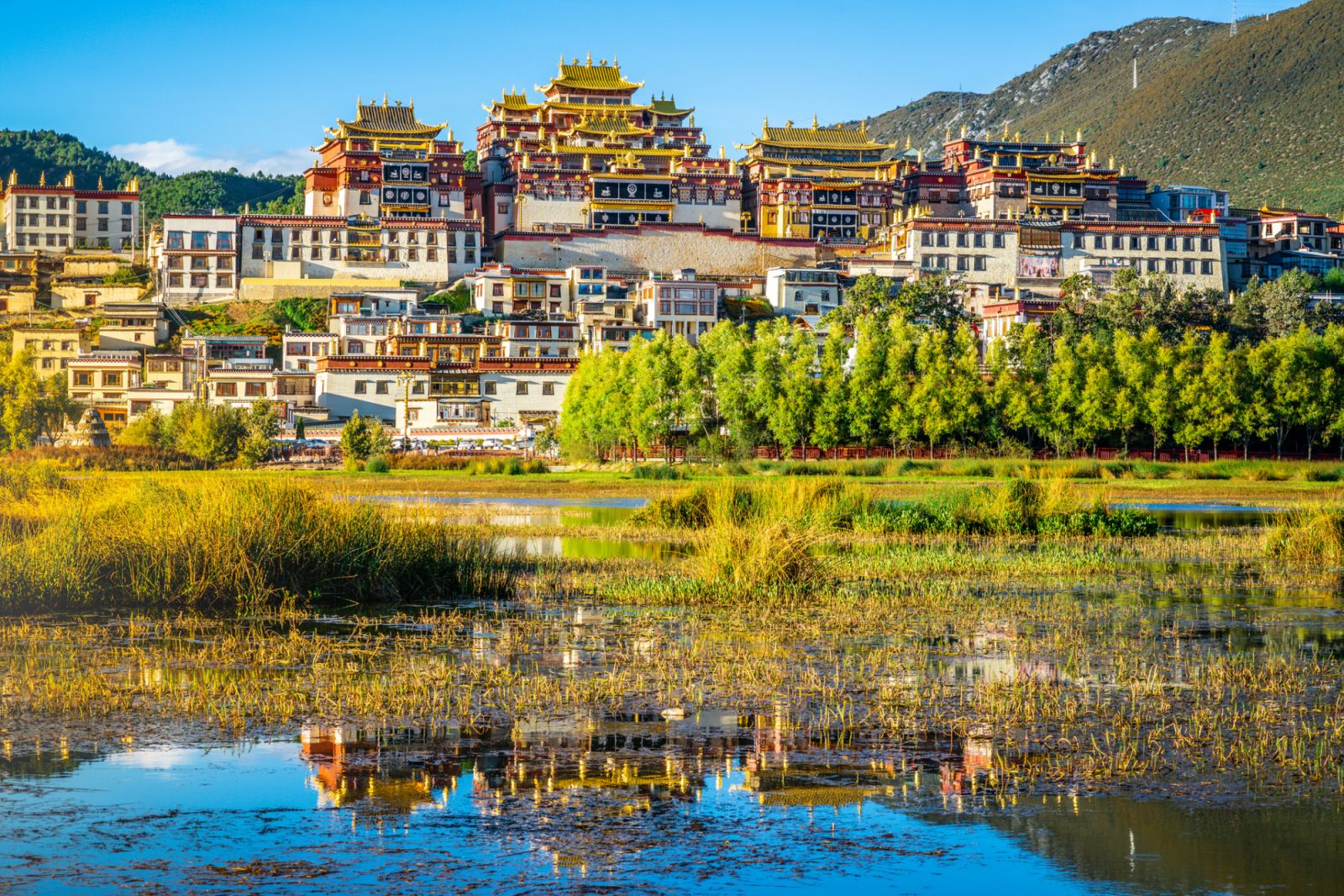 Tibet Tour (Fly in Drive out tour to Tibet)